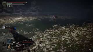 魔術を極めたいエルデンリング[046]