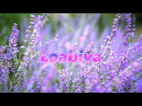 Toy - Loabivaa Ft. Haando -Lyrics-