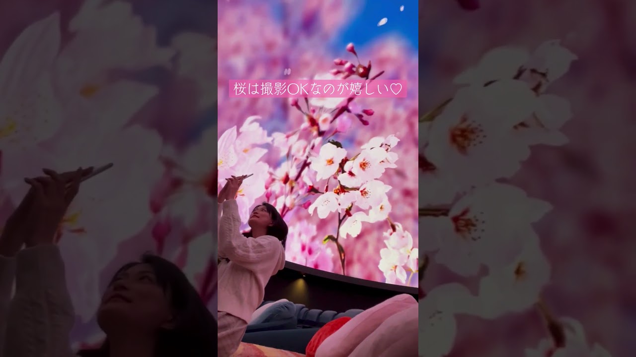 桜ウェルカムドーム2026❀コニカミノルタプラネタリウム全館で開催