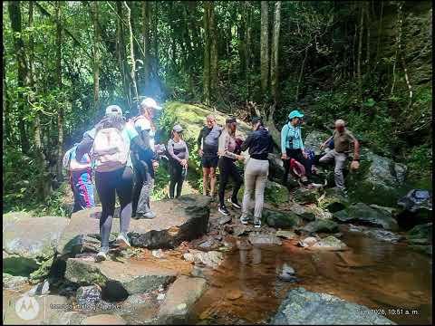 RESERVA TUCANES GACHANTIVÁ BOYACÁ