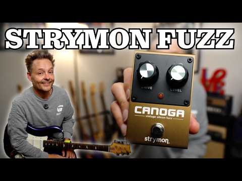Strymon Canoga Vintage Silicon Fuzz 2026 - Present - Gold / Black image 5