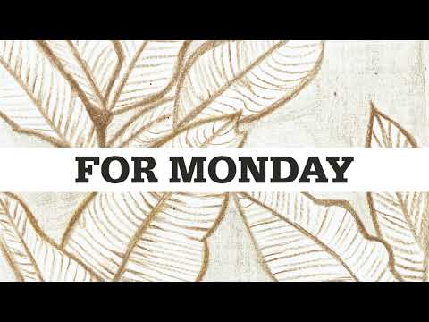 After Work Cocktails Lounge Music