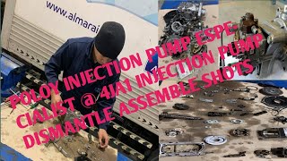 01381 Great Wall Interpretation