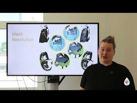 Mesothelioma cancer modelling