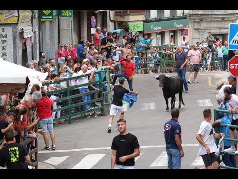 Encierro del viernes de Corpus en Vitigudino