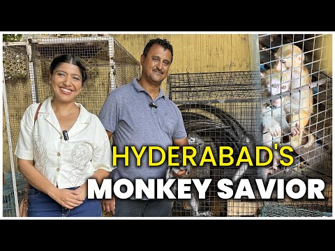 Ankita Sinha How Hyderabad Monkeys Get Rescued Video Story
