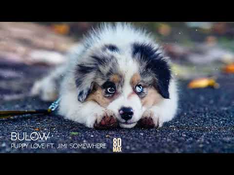 bülow - Puppy Love ft. Jimi Somewhere (AUDIO 8D)