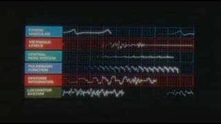 Shout Out Louds: A Space Odyssey