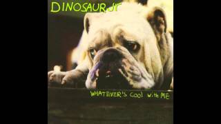 Dinosaur Jr. - Pebbles + Weeds