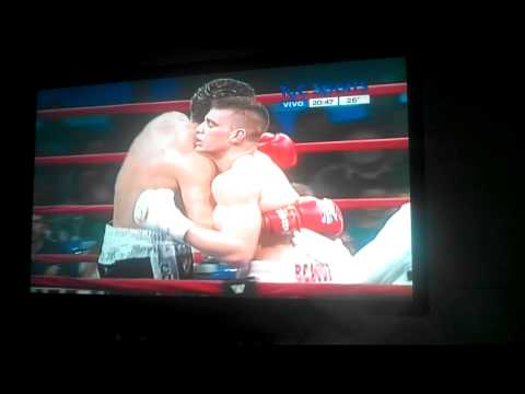 La gran Willy del box