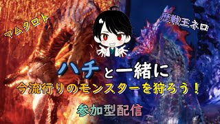 【MHW:I】ハチがあなたのオトモになります！参加型ライブ配信