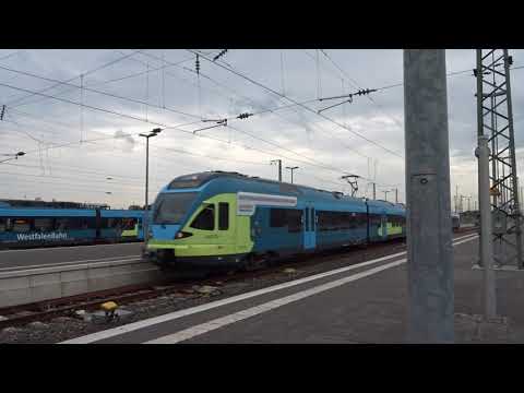 🟩Zugverkehr in RHEINE - | Zugblick #6 🟩​