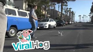 faze tari vecin suparat pe drona