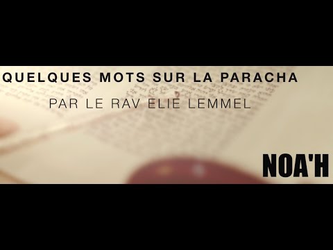 Du pain et du vin... Rav Elie Lemmel - Paracha Noa'h