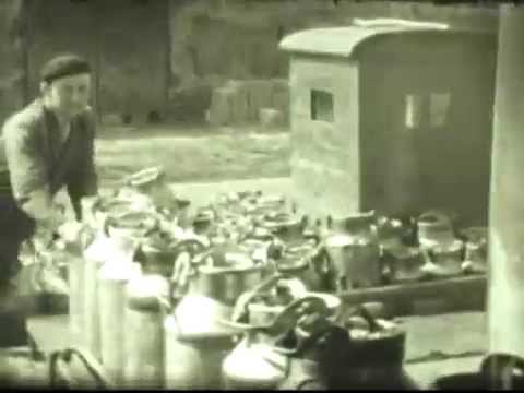 Mleczarnia Olesno -  film z 1967 roku