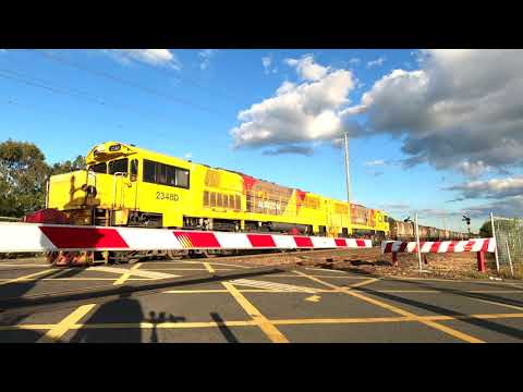 Brisbane Trains | Freight Trains at Fishermans Island & Fairfield