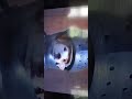 Wishbone Promo And Trailer
