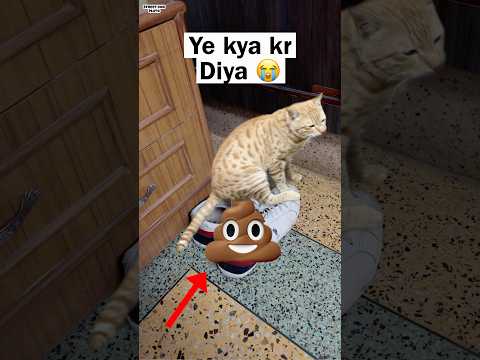 Ye kya Kr Diya Billa Ne 😭