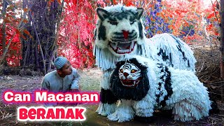 Download lagu CAN MACANAN BERANAK || KOMEDI MADURA mp3