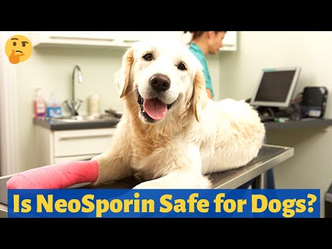 YouTube video about: Will a and d ointment hurt my dog?