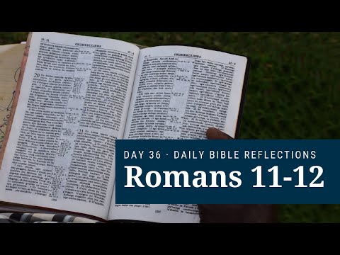 DAY 36 | Romans 11-12 | The Bible in A Year