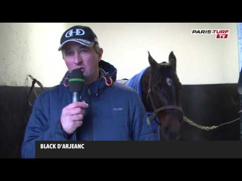 Tour de cour : Sébastien Guarato