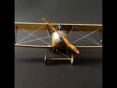 Eduard 1:48 Albatros D.III. Oeffag "Ilonka"