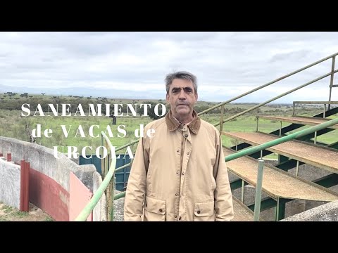 SANEAMIENTO de VACAS de URCOLA del Ganadero Victorino Martín en Finca San Marcos