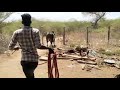 Yaaraaa Avan Morattu Aala Oditu Irukaan Murattu Kalai Vadivelu Dialogue