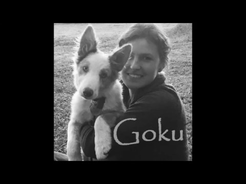 Goku for katarina graduation video