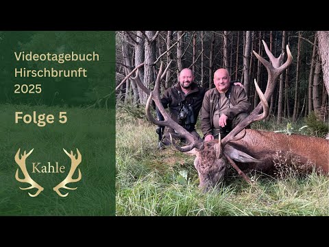 Erlegung eines kapitalen Medaillienhirsches am letzten Tag! Hirschbrunft in Pommern / Polen | Tag 5