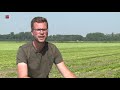 Boer in Lelystad gaat nachtvlinders tellen