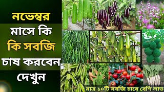 সবজি চাষ