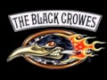Peace Anyway - The Black Crowes LIVE