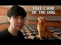 Algo raro le pasa a mi perro… | Take Care Of The Dog