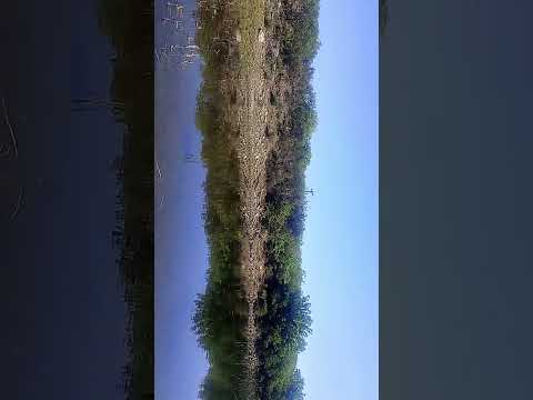 carpinteria merlo san luis