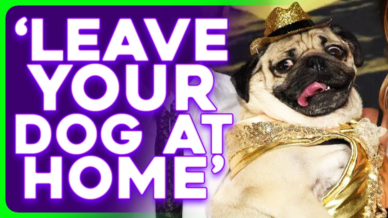The Dog Moms HAVE GONE TOO FAR