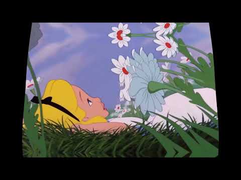 Guido R.S - Snowy Nose