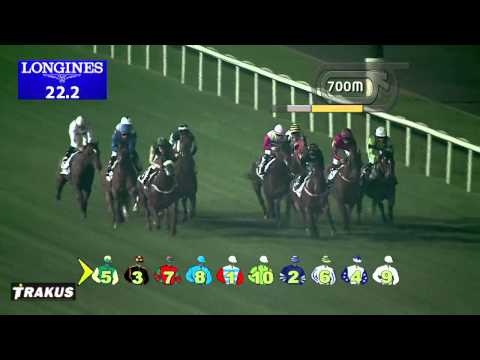 20.02.2014 Meydan (Dubai-UAE) 3.Race Meydan Sobha Phase II - Handicap 1.000 m