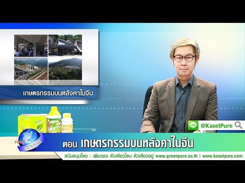 Activators ธรรมชาติของผู้หญิง ถ้าคุณเลิกสูบบุหรี่ทำผลตอบแทนแรง
