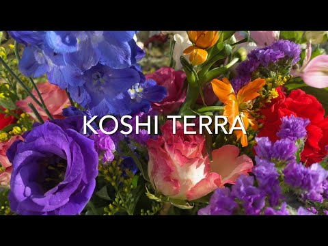 KOSHI TERRA CHIME | Koshi Terra Tuned Wind Chimes | Koshi Chimes and Rain (2021)