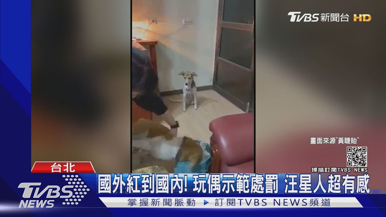 桃園老翁虐狗影曝光! 網友看完心碎「火超大」