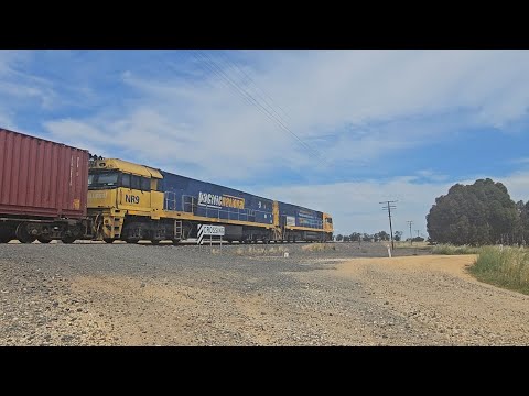 6PM6 PN up "Linfox Express" (NR84, NR9, 80P), Perth to Melbourne, 1510, 24/11/25, Murtoa South VIC 