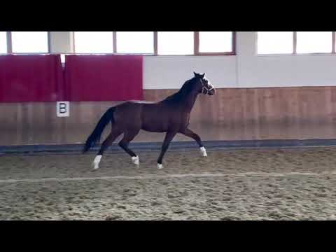 For Romance x Diamond Hit *2018