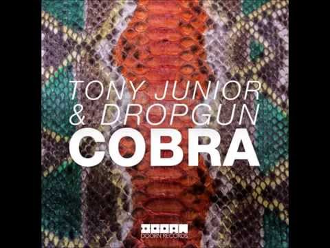 Tony Junior &  Dropgun Vs. KSHMR - Cobra Vs. JAMMU (DJoker Mashup) [Preview]