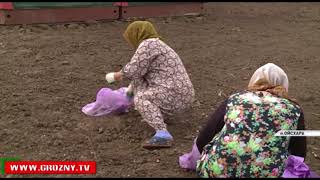 На помощь строителям в Ойсхара приехали сотни человек из разных уголков республики 