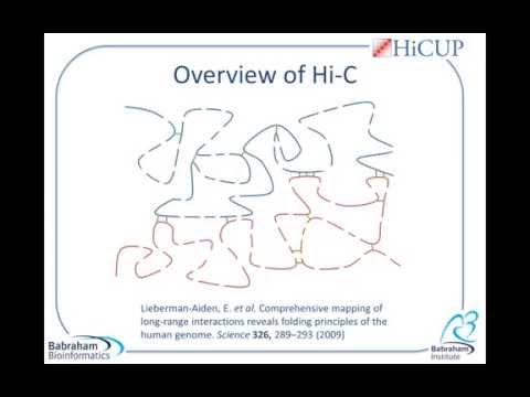 Tutorial 1: HiCUP Overview