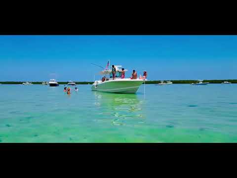 2018 Hcb 39 Speciale Gyn Tonic Video