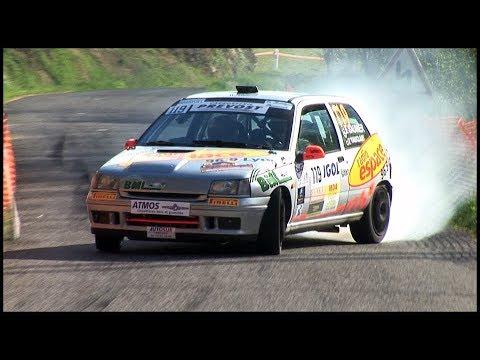 Renault Clio Williams Rally - Pure Engine Sound