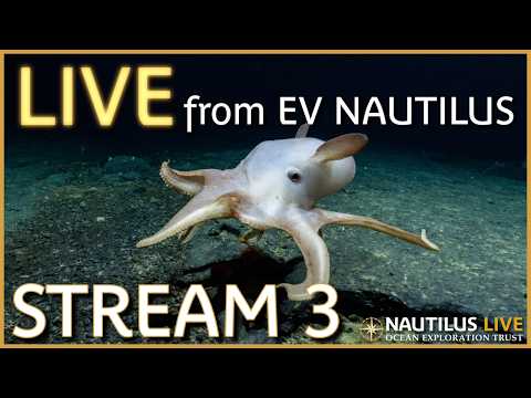E V Nautilus deep sea exploration live